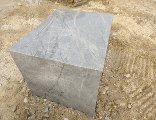 Vein Patterns